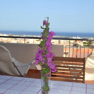 Yucca , Pantelleria Italia
